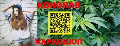 Альфа ПВП Нягань